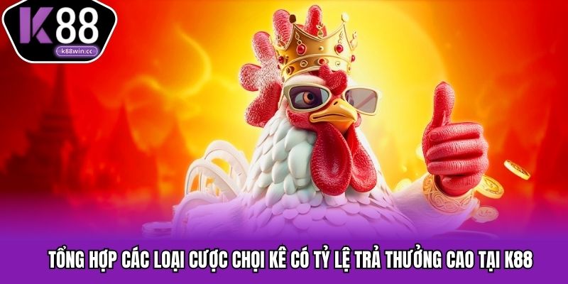 Những loại cược chọi kê với tỷ lệ trả thưởng tốt nhất tại K88