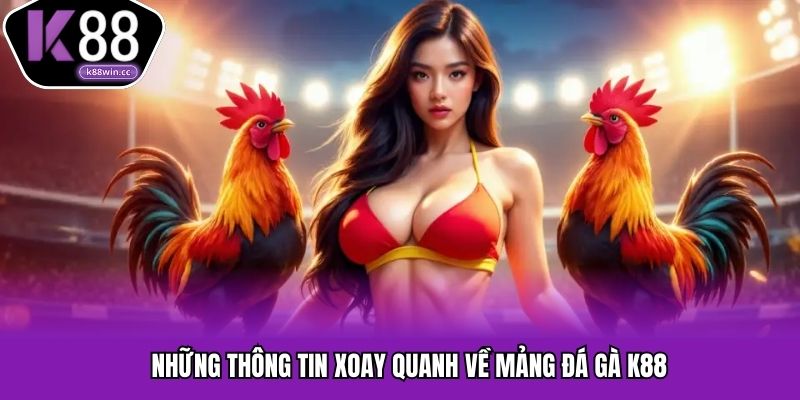 Cập nhật những thông tin cơ bản về đá gà tại nền tảng K88