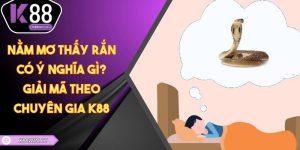 Nằm Mơ Thấy Rắn Có Ý Nghĩa Gì? Giải Mã Theo Chuyên Gia K88